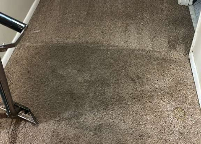 Residential carpet cleaning