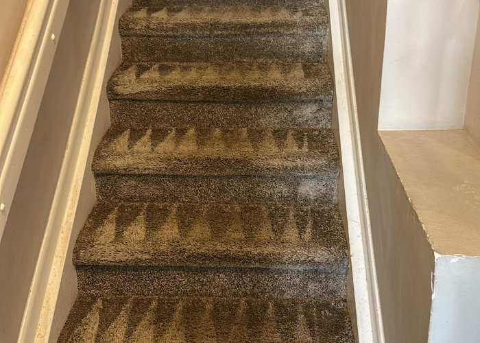 stairs carpet cleaning experts cleaners
